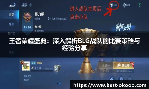 王者荣耀盛典:深入解析BLG战队的比赛策略与经验分享